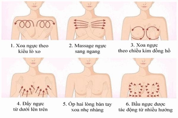 6 bước massage ngực kiểu Ấn Độ.